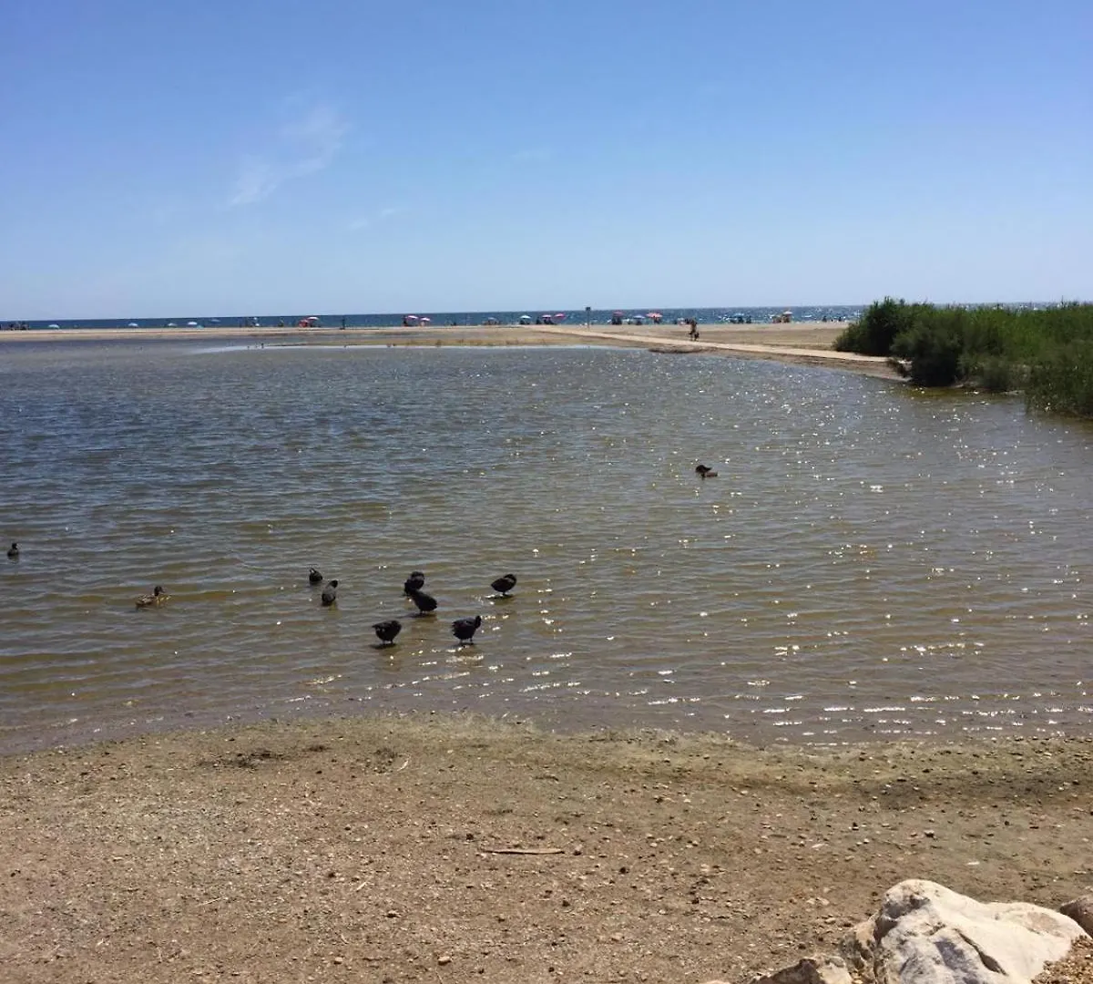 Precioso Duplex Con Piscina A 300M De La Playa. location